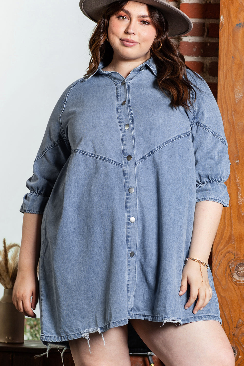 Light Blue Ruffled 3/4 Sleeve Buttoned Front Plus Size Denim Dress - Bagged Store